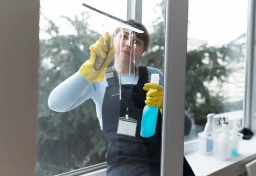Nettoyage de vitres intérieures et extérieures à Rigny-Ussé